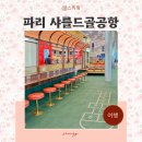 프랑스 파리 샤를드골공항 베이징 경유 인천공항 에어차이나 CA934 CA709 기내식 탑승기