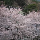 사직야구장 주변 이미지