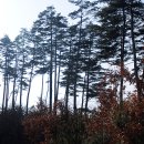 옥방교 Daum카페