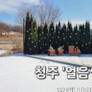 포레시안1-2 이미지