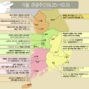 관광주유소 이미지