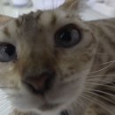 진상농장 이미지