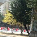 대천초등학교 이미지