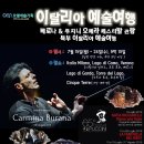 오엠예술기획 Daum카페