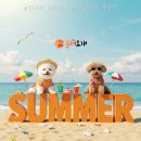 놀러오개 미용센터 | 놀러오개 애견유치원 애견호텔 죽전점 예약제와 소통방식 먼저 볼 포인트