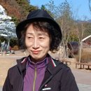단풍놀이관광정이품공원 이미지