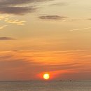 고양이 세수_설렘 이미지