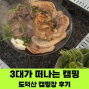 도덕산 캠핑장 | 가족 3대가 다녀온 도덕산캠핑장 / 장어구이 / 곱창 / 삼겹살구이 / 육아캠핑