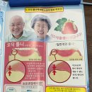 청플란트치과의원 | 남포동치과 청플란트치과의원 오딕틀니 임플란트틀니