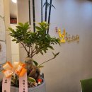 보한의원 이미지