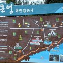 위미1리 이미지