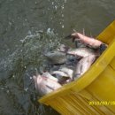 부연낚시터 이미지