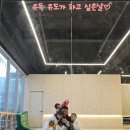 용인대 알파 유도클럽 이미지