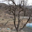 ㈜백두자원 이미지