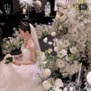 피오나 | [아이폰 스냅] 피오나 스냅 계약 후기