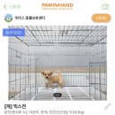 위풍당당