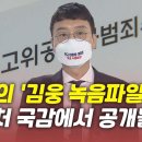 공수처 국감 김웅 녹음파일 공개될까? 이미지