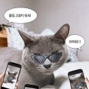 로둥이네 네이버블로그