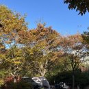 중랑캠핑숲 이미지