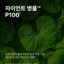 거창 인셀덤