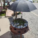 진천숯불고기 이미지