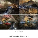 4월27일(토) 자체진행 태백장성 산나물축제+용연동굴 +오로라파크 탑방 여행 이미지