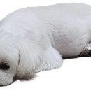 하나로365약국 이미지