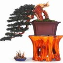 아름다운 선물 이미지