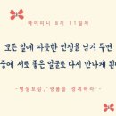 라이프 하이 이미지
