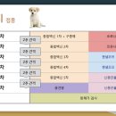 송도종합동물병원 이미지