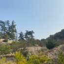 비두1리마을회관 이미지