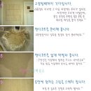 오천원의 행복 - 송판과 핸디코트로 봄분위기 포인트벽 단장 이미지