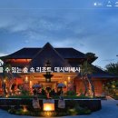 유니크투어 - 제주시 달마루길 18 | 유니크투어