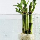 알라이트주식회사 이미지