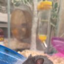 몬스타주 이미지