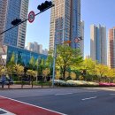 국제대로 이미지