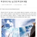 피부진정 도움주는 실비아의 쪽비누 판매 이미지