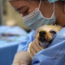 하트펫 동물병원 이미지