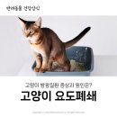 금릉동물의료센터 이미지