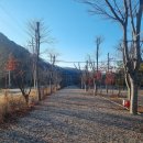 포시즌 | 청주 옥화 포시즌 캠핑장 솔직후기 하루쯤, 완벽한 쉼