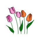 사림동113 이미지