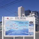 능포항 수변공원 이미지