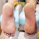 레푸스 성남모란점 이미지