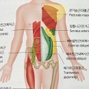 바른추한의원 | [대구/수성구] 범어동 자세교정 '바른몸 운동센터'에서 목.어깨 교정