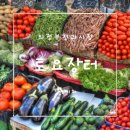 야채.청과 이미지