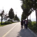 장흥 3리 이미지