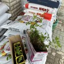 서울종묘사 이미지