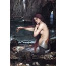 호남학: 인어의후손 신안군도초도의 명 씨 이미지