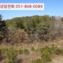 초곡리1 이미지