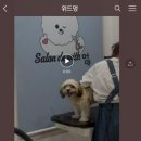 살롱 드 위드멍 이미지